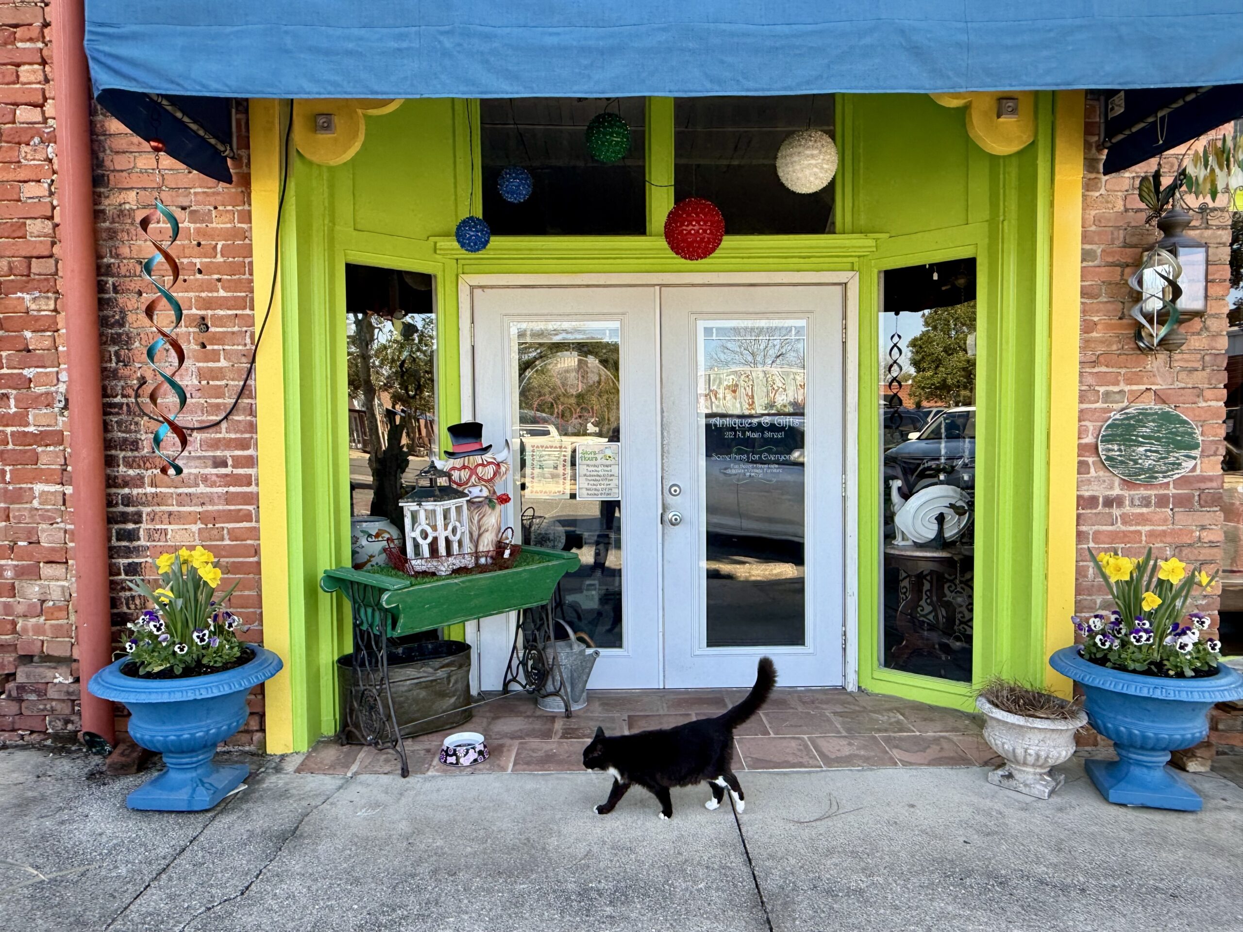 A bright green and yellow storefront with blue planters and hanging decorations frames glass double doors, while a black cat walks across the sidewalk in front.