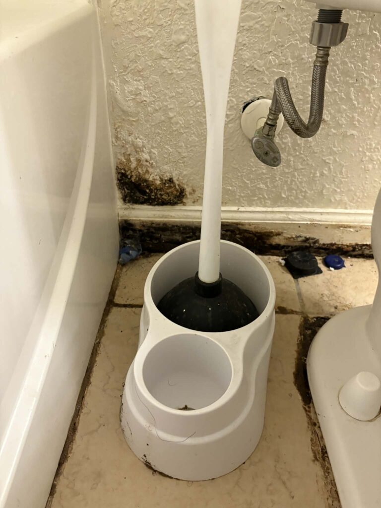 Bathroom corner with visible black mold and water damage along the wall and floor near a toilet brush holder and exposed plumbing.