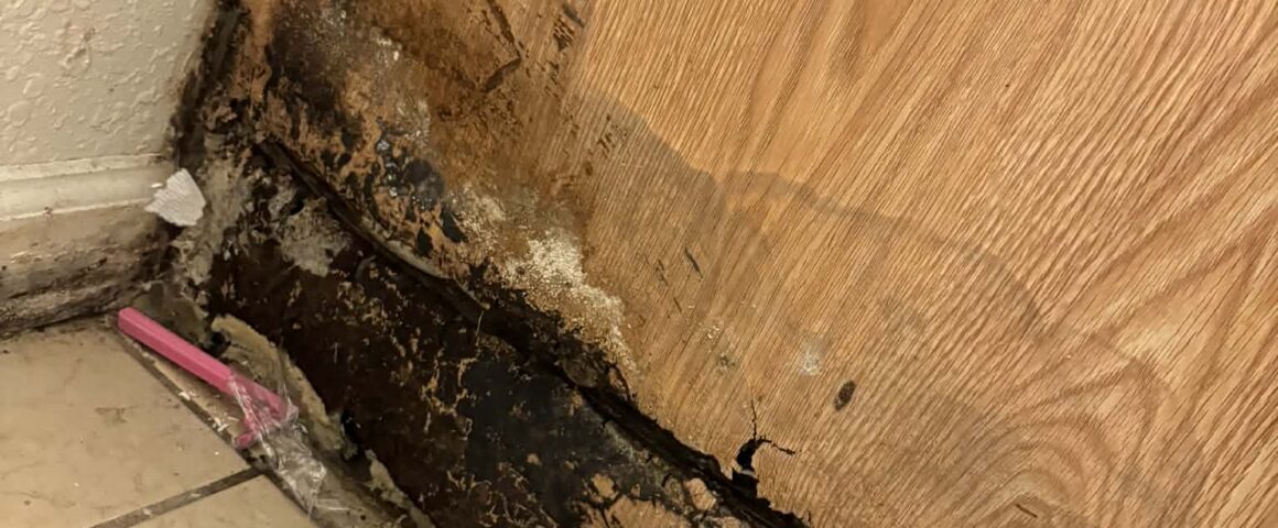 Severely water-damaged wooden cabinet base with dark mold and rot along the bottom edge where it meets the tiled floor.