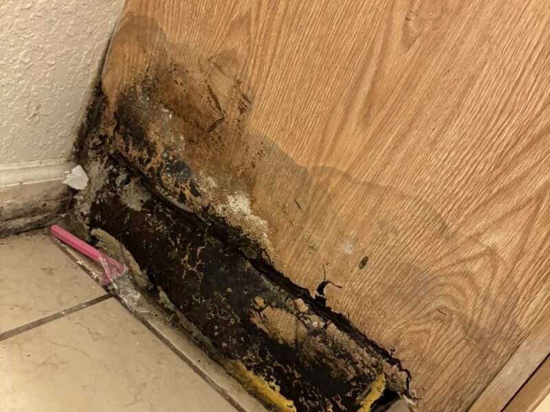 Severely water-damaged wooden cabinet base with dark mold and rot along the bottom edge where it meets the tiled floor.