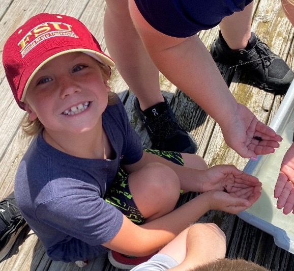 A close-up, high-angle shot of a young boy smiling broadly at the camera on a wooden dock. He is wearing a red Florida State University (FSU) baseball cap and a dark blue t-shirt, holding out his cupped hands containing small aquatic organisms alongside other hands.