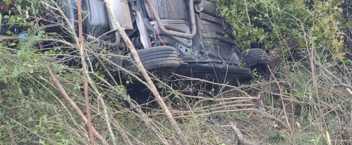 An overturned black vehicle resting on its side among dense trees and brush along a embankment following a traffic accident.