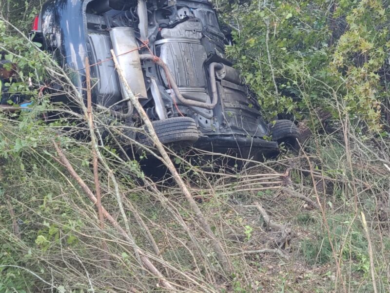 An overturned black vehicle resting on its side among dense trees and brush along a embankment following a traffic accident.